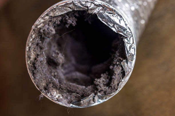 Best Local Air Duct Cleaning Services  in Manly, IA